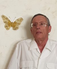 Vicente Soler Segovia